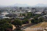 IMG_1041.JPG